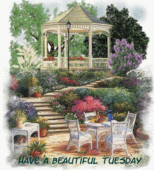 Have a beautiful Tuesday Have a beautiful Tuesday