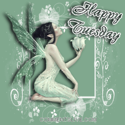 Happy Tuesday Happy Tuesday