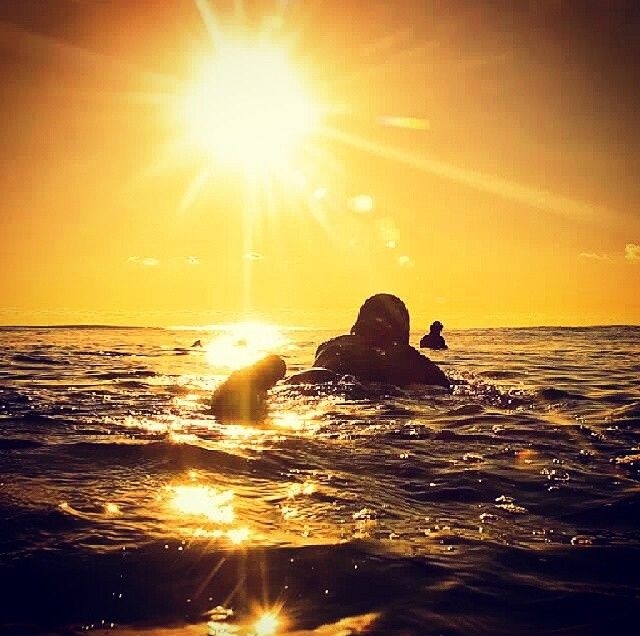Surf Surf
