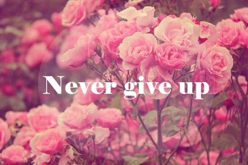 Never give up
