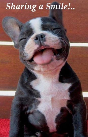 Sharing a smile