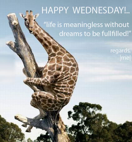 Happy Wednesday Happy Wednesday