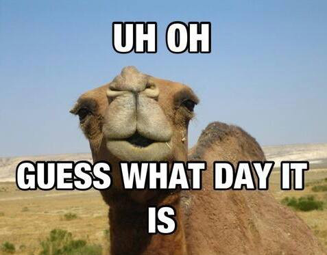 Uh Oh Guess What Day It Is