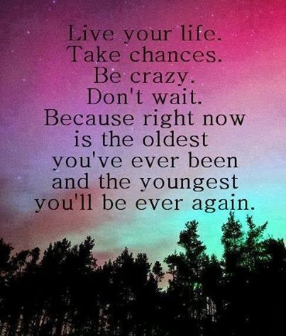 live your life live your life