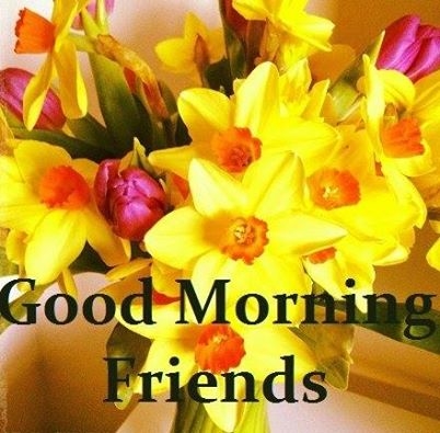 Good Morning Friends