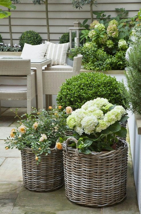 Large floral planters Large floral planters