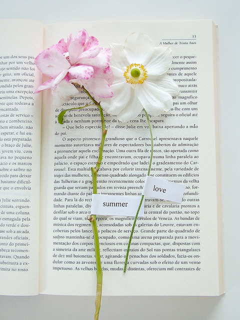 Summer love flowers Summer love flowers