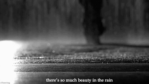So much beauty in the rain