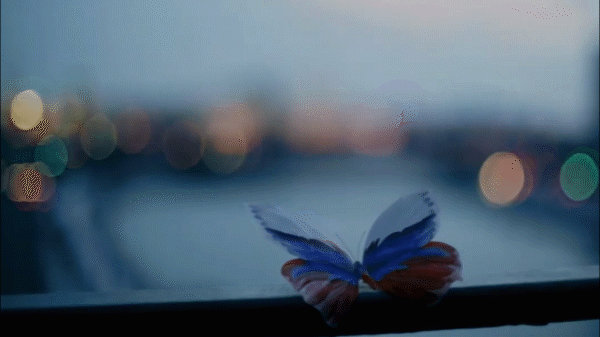 Beautiful Butterfly
