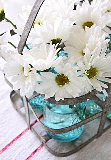 Daisies in water