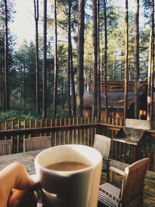 Coffee in the wilderness Coffee in the wilderness