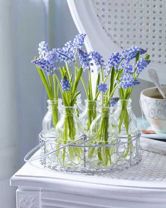 Grape Hyacinth in Glass Bottles
