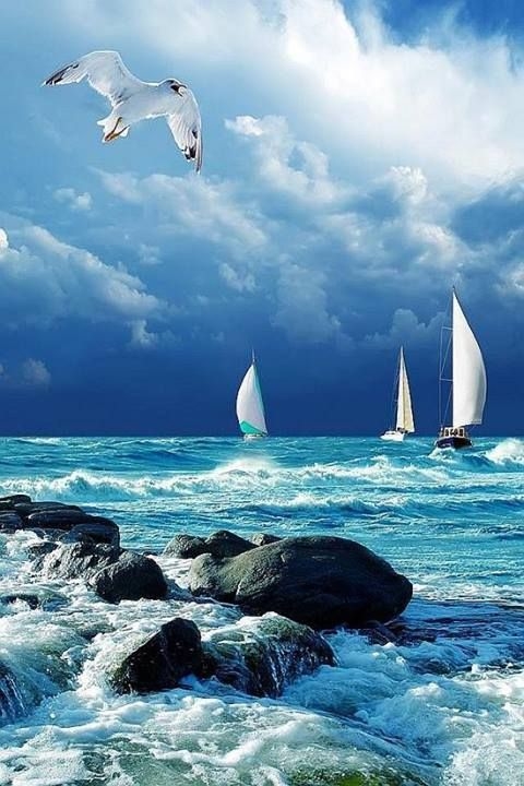 Blue horizon