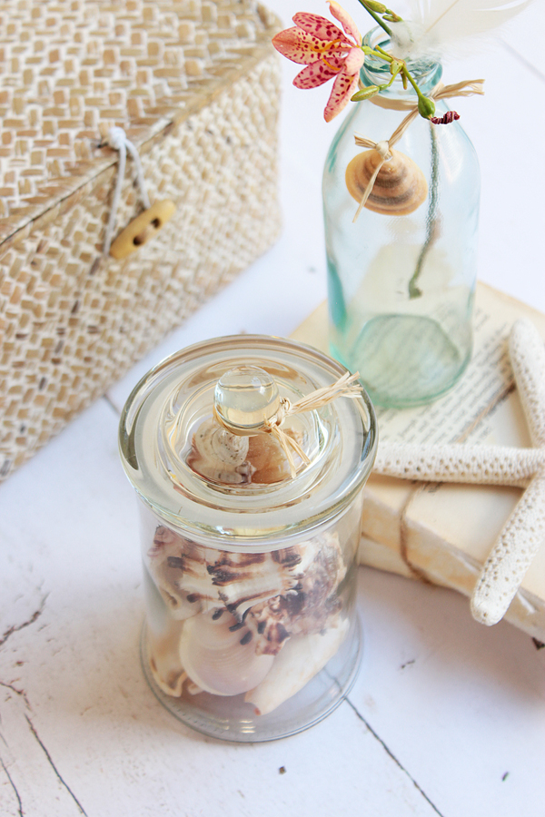 Bottled seashells