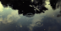 Raindrops Raindrops