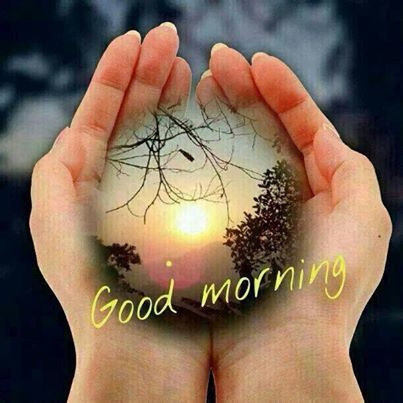 Good Morning Good Morning