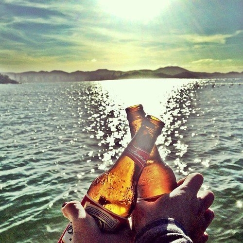 cheers cheers