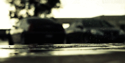 Plopping rain drops Plopping rain drops