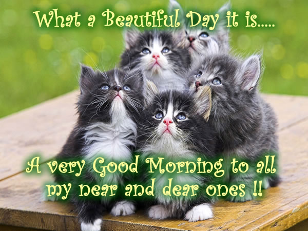 Good Morning Good Morning