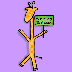 Happy tuesday Happy tuesday