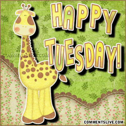 Happy tuesday