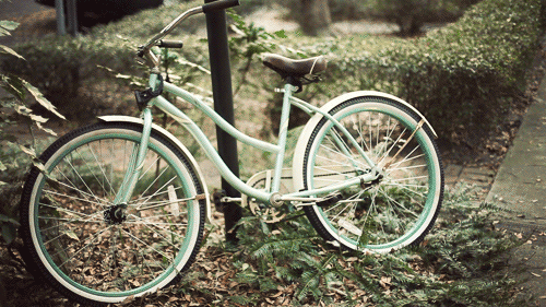 Bike outdoors