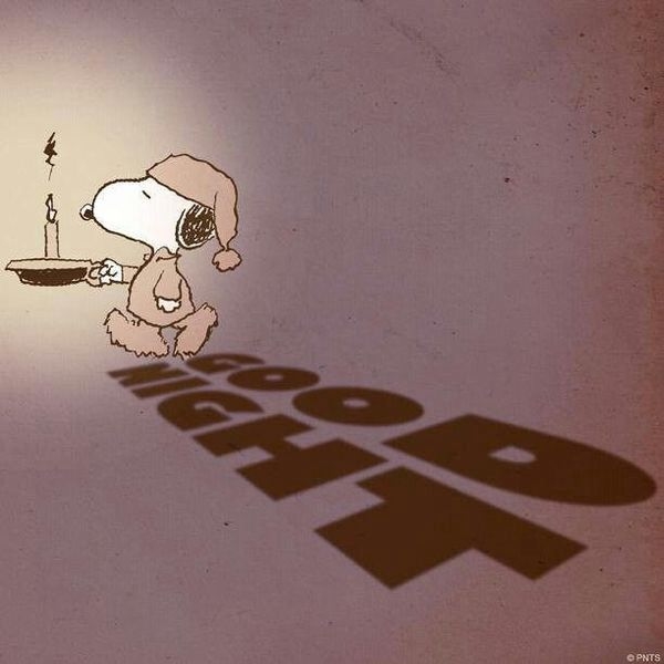 Good Night