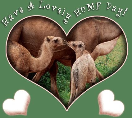 Have a Lovely Hump Day Have a Lovely Hump Day