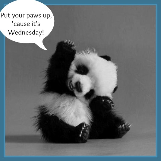 It's Wednesday It's Wednesday