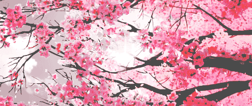 Sun through the blossoms