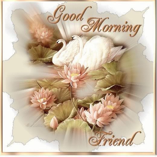 Good Morning Friends