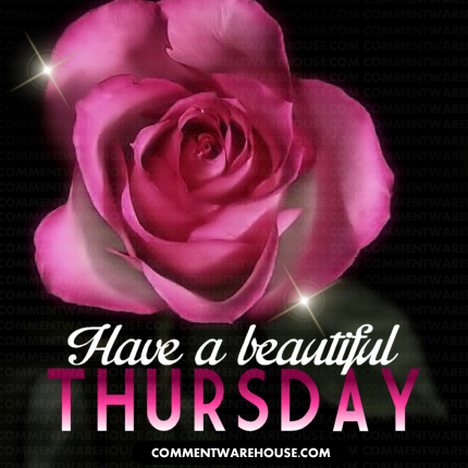 Have a beautiful Thursday