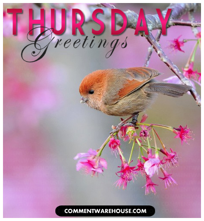 Thursday greetings