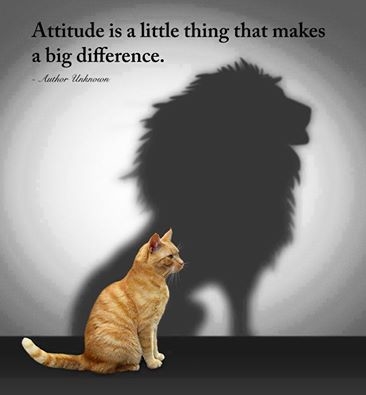 a positive attitude