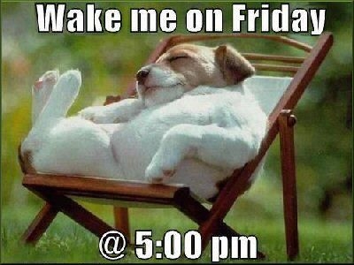 Wake me on Friday Wake me on Friday
