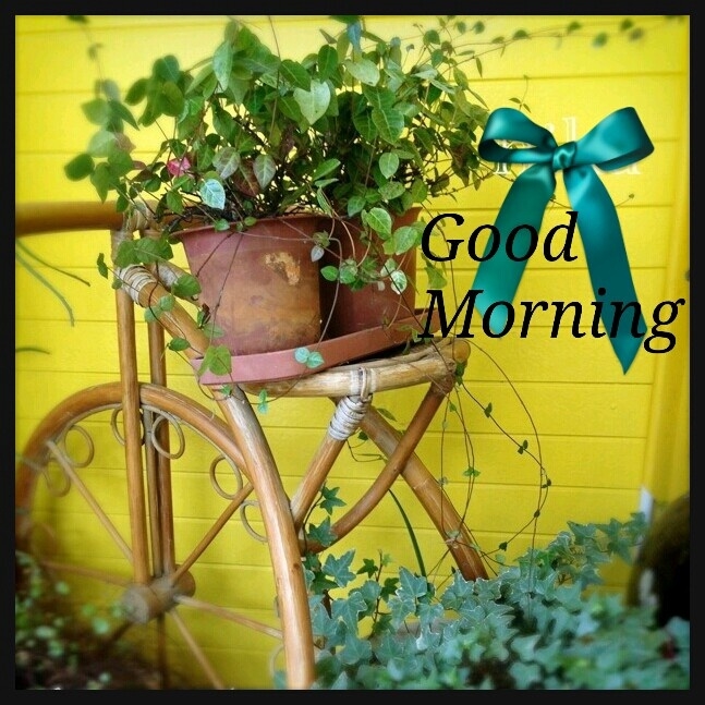 Good Morning Good Morning
