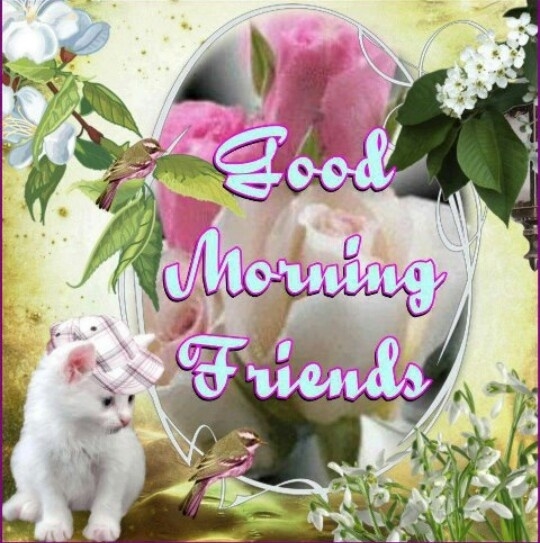 Good Morning Friends