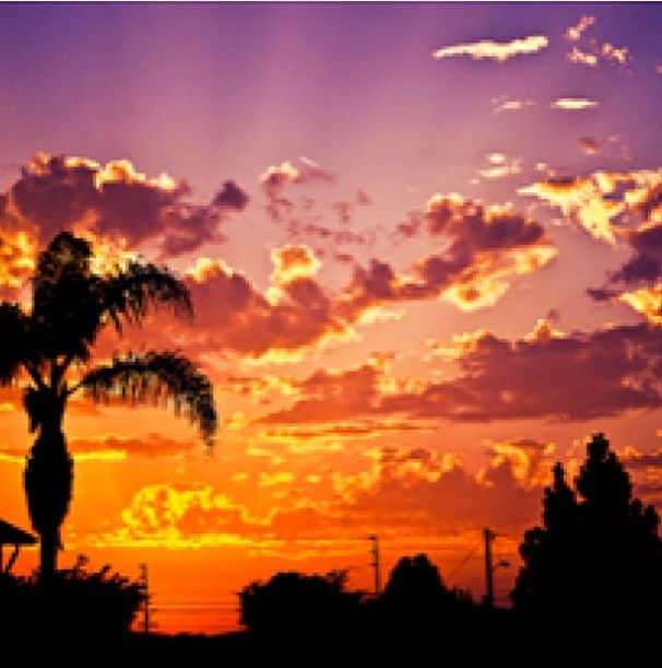 Orange Sunset