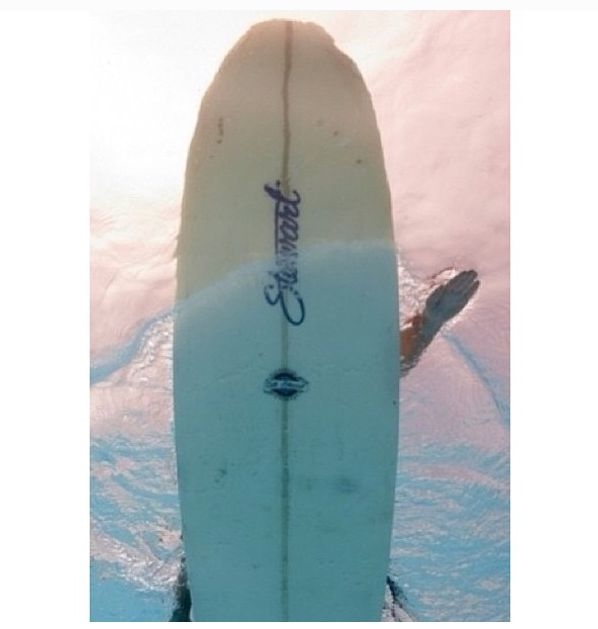 Surf Board