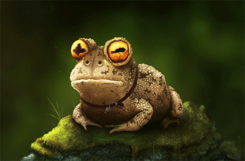 Trippy Froggy Eyes Trippy Froggy Eyes