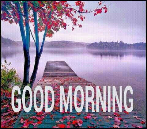 Good Morning Good Morning