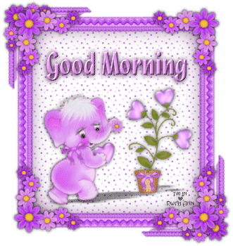 Good Morning Good Morning