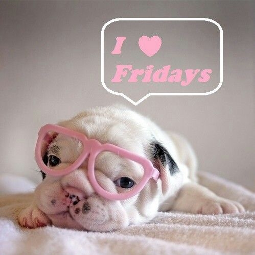 I love Fridays I love Fridays