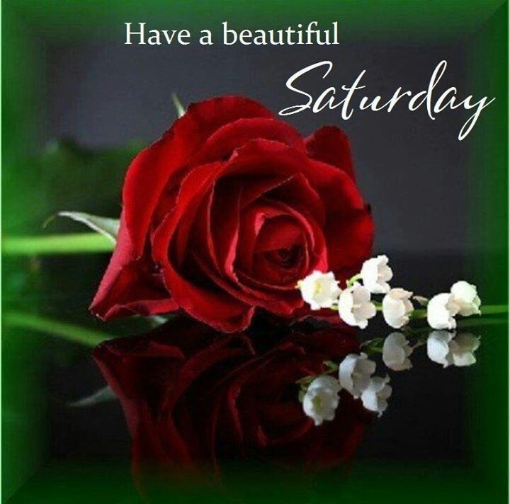 Have a beautiful Saturday Have a beautiful Saturday