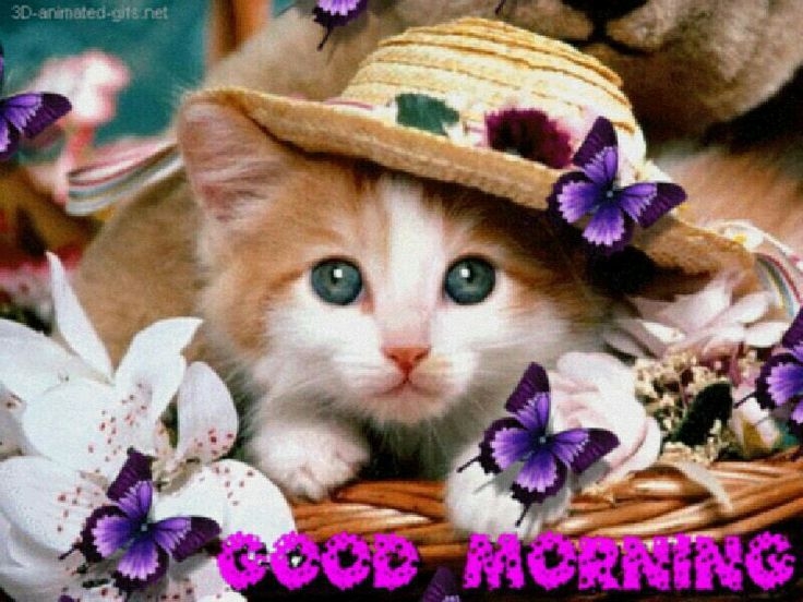 Good Morning Good Morning