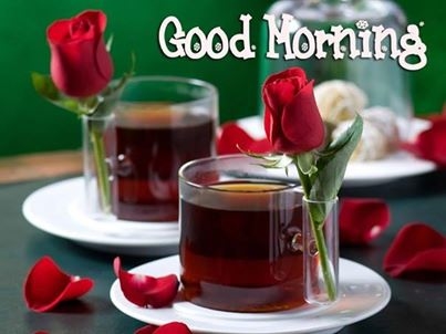 Good Morning