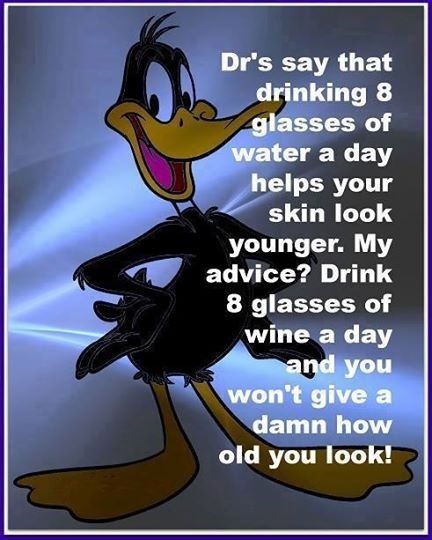 8 glasses of wine
