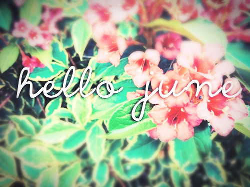 Hello June Hello June