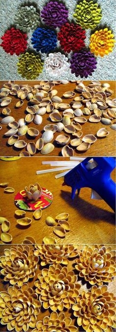 Pistachio Shells Pistachio Shells