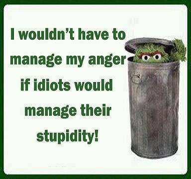 stupidity stupidity